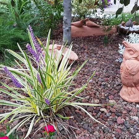 Nel Giardino Di Dafne Βίλα Στρέσα Εξωτερικό φωτογραφία