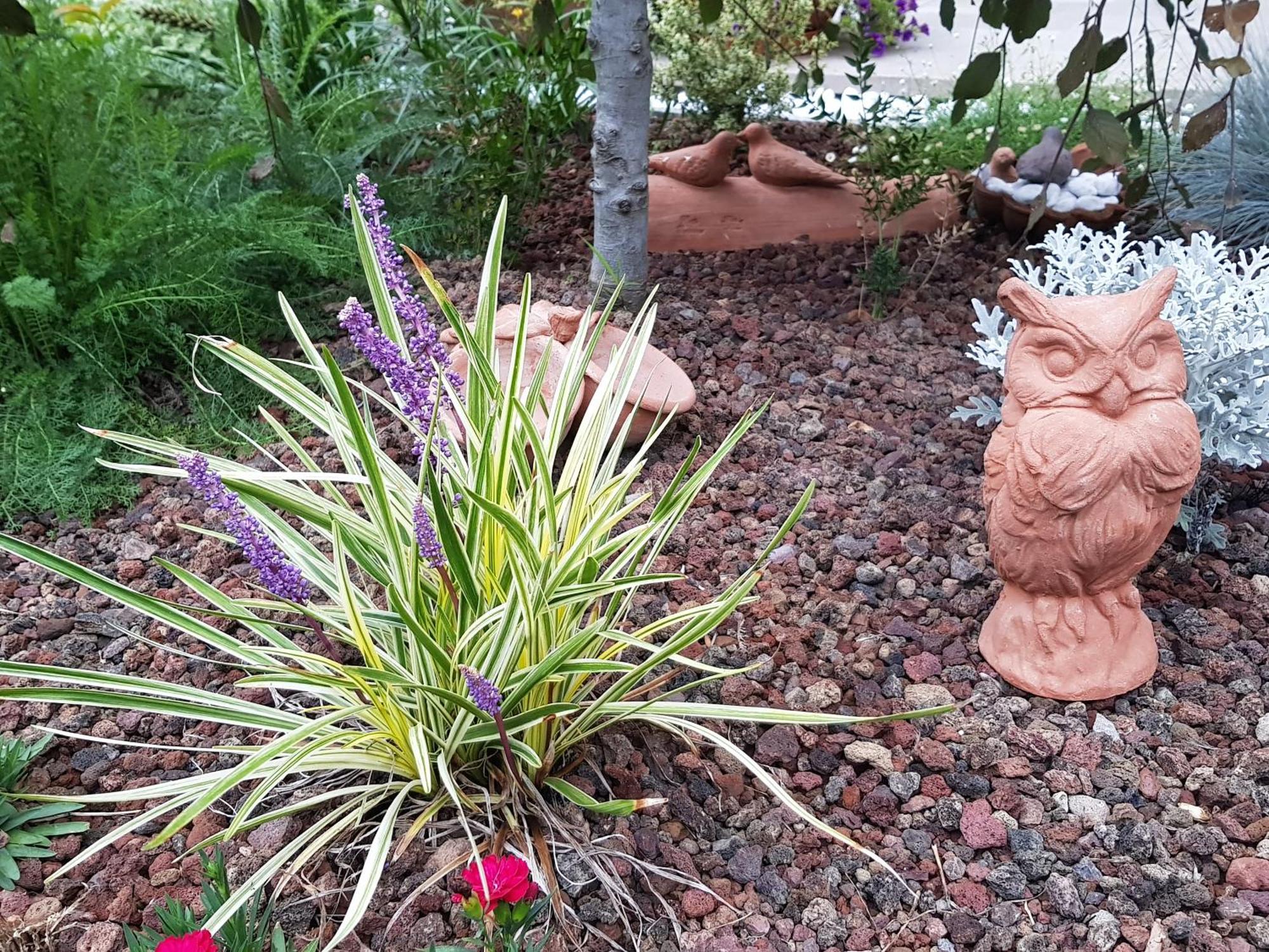 Nel Giardino Di Dafne Βίλα Στρέσα Εξωτερικό φωτογραφία